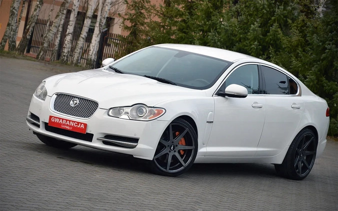 Jaguar XF cena 49900 przebieg: 219000, rok produkcji 2011 z Piwniczna-Zdrój małe 781